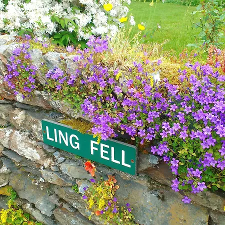 Ling Fell