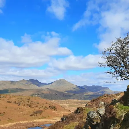Ling Fell Holiday home