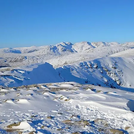 Ling Fell *